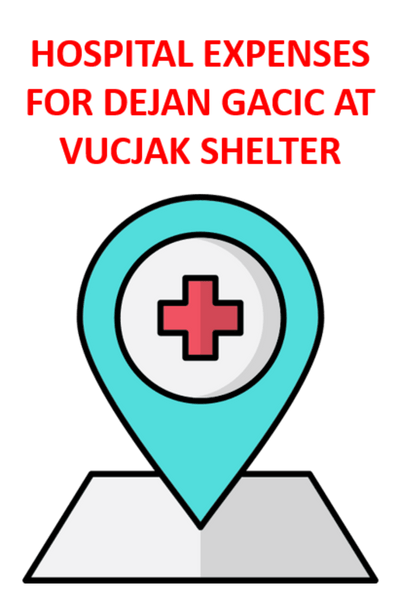 HOSPITAL BILL FOR DEJAN AT VUCJAK SHELTER