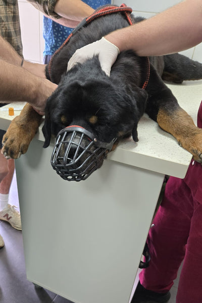 BANE HAS CANCER