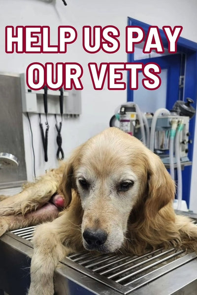 VET DEBT REDUCTION FUNDRAISER