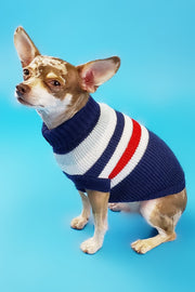 Buddy Stripe (small breed / 2 COLORS)