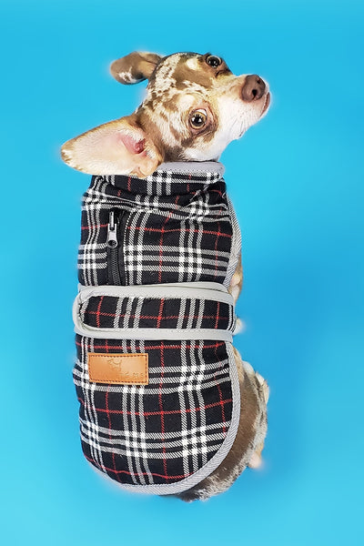 The Everest Plaid (3 colors)